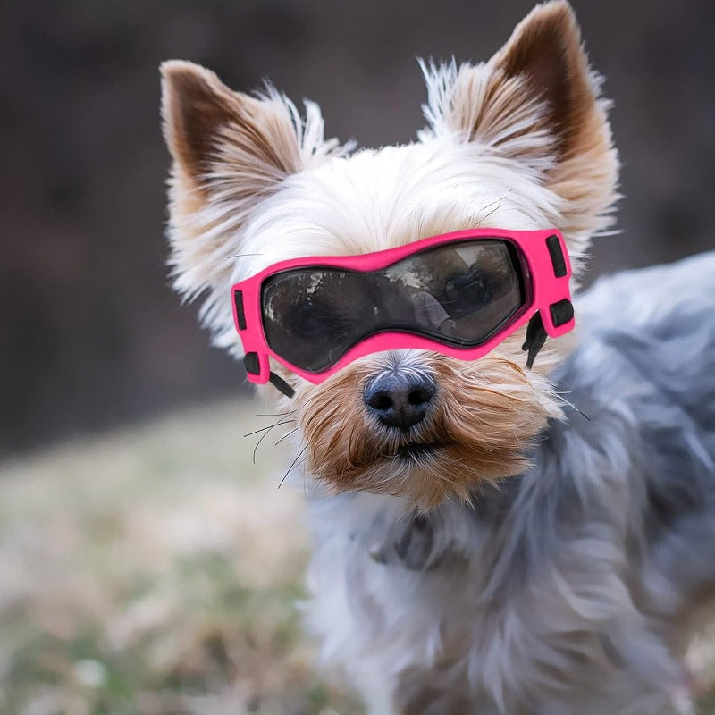 1pc Small Dog Sunglasses