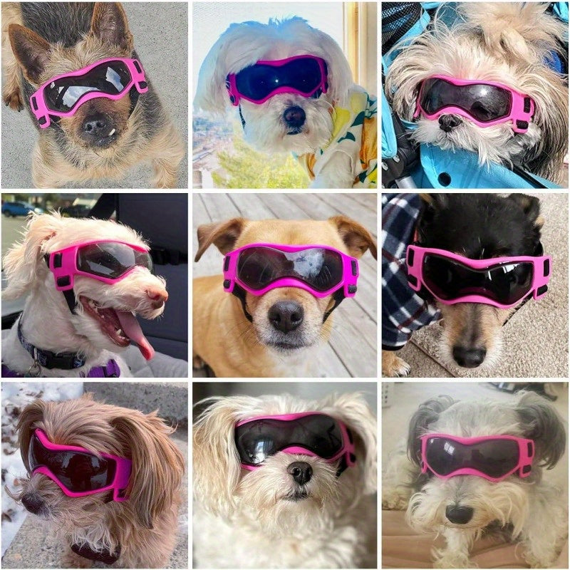1pc Small Dog Sunglasses
