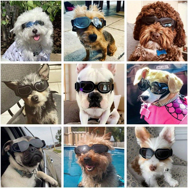 1pc Small Dog Sunglasses