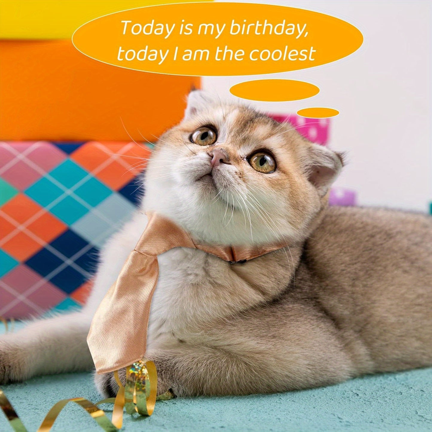 28pcs, Cat or Puppy Collar