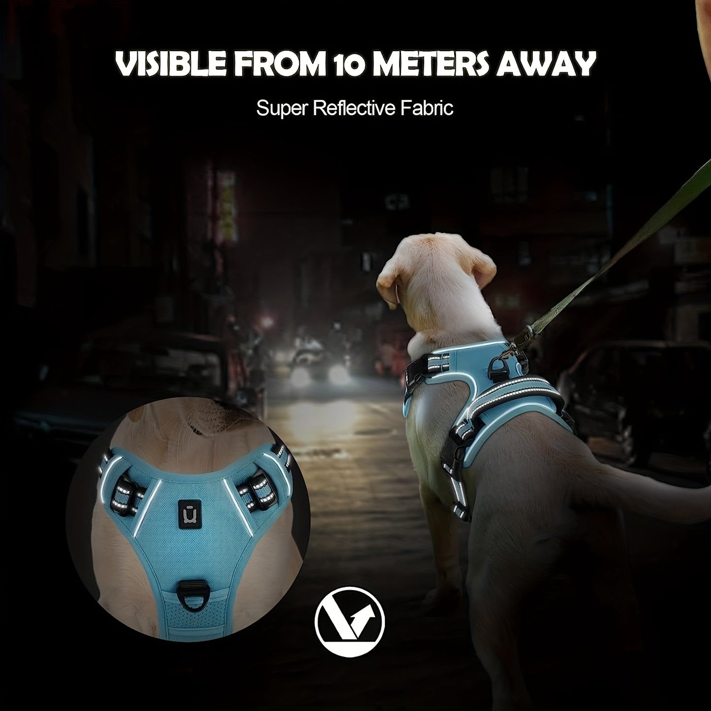 Dog Harness And Leash Combo