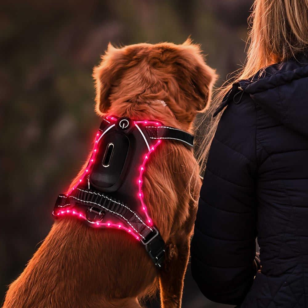 Led Dog Harness