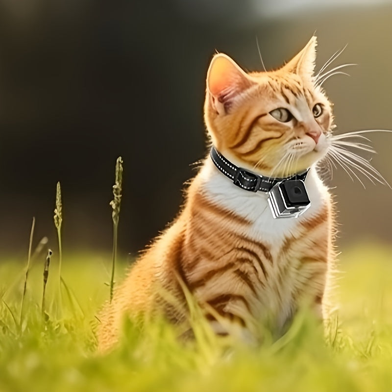 Cat Camera Collar