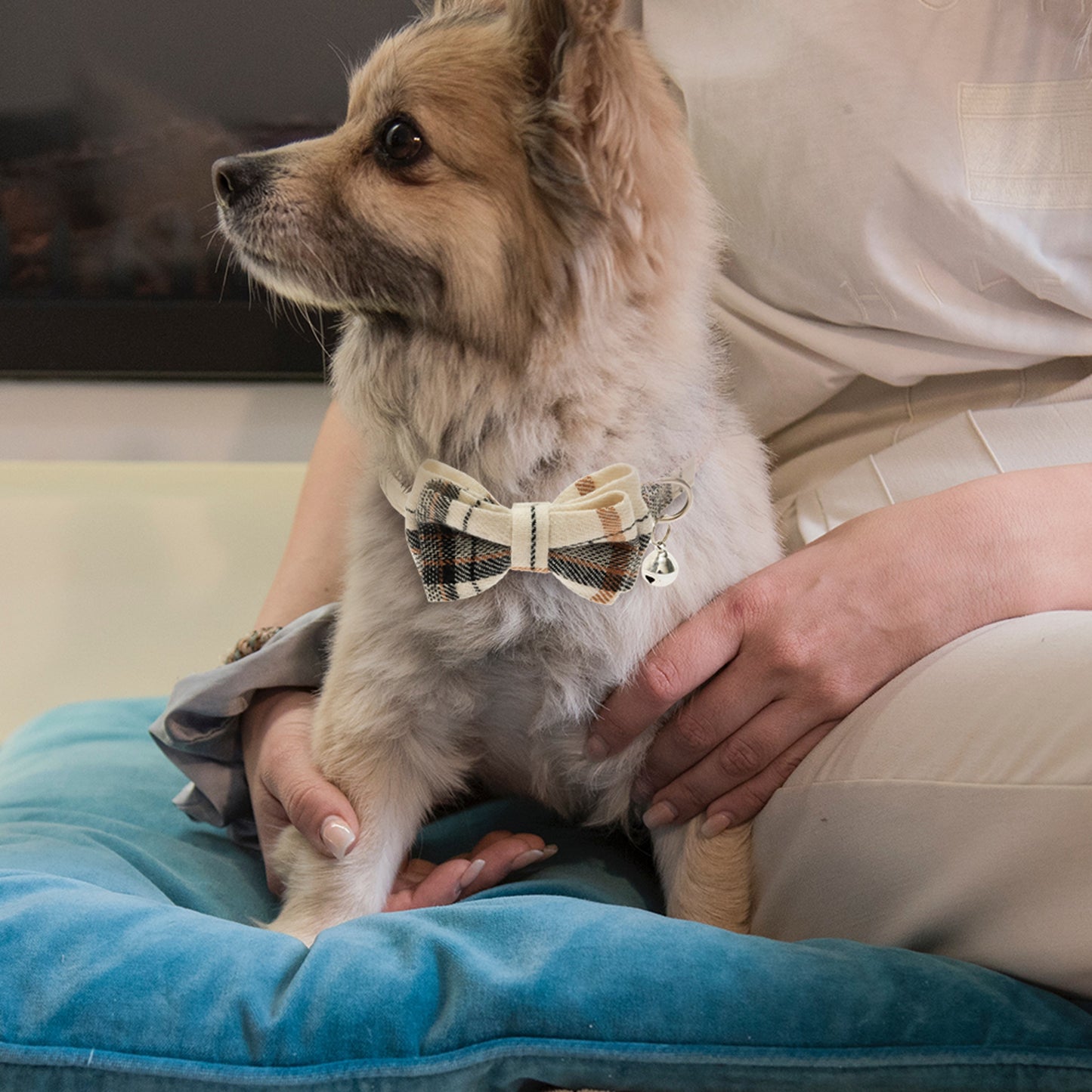 2pcs Breakaway Cat Collars