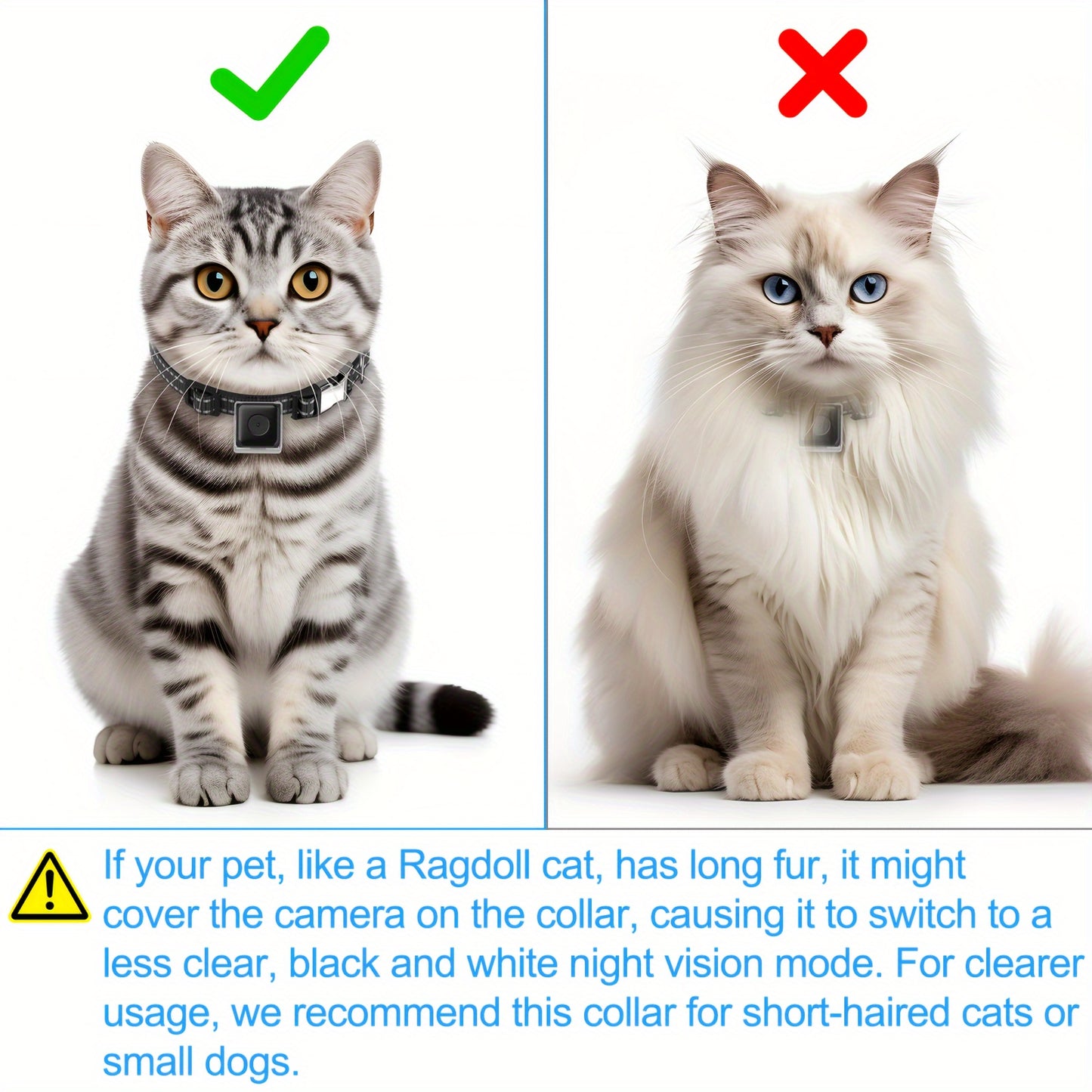 Cat Camera Collar