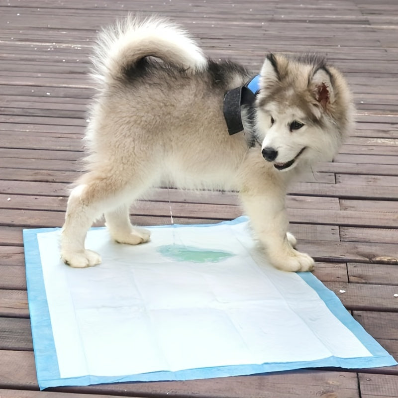 40/80/100/200pcs Absorbent And Deodorizing Disposable Pet Diapers