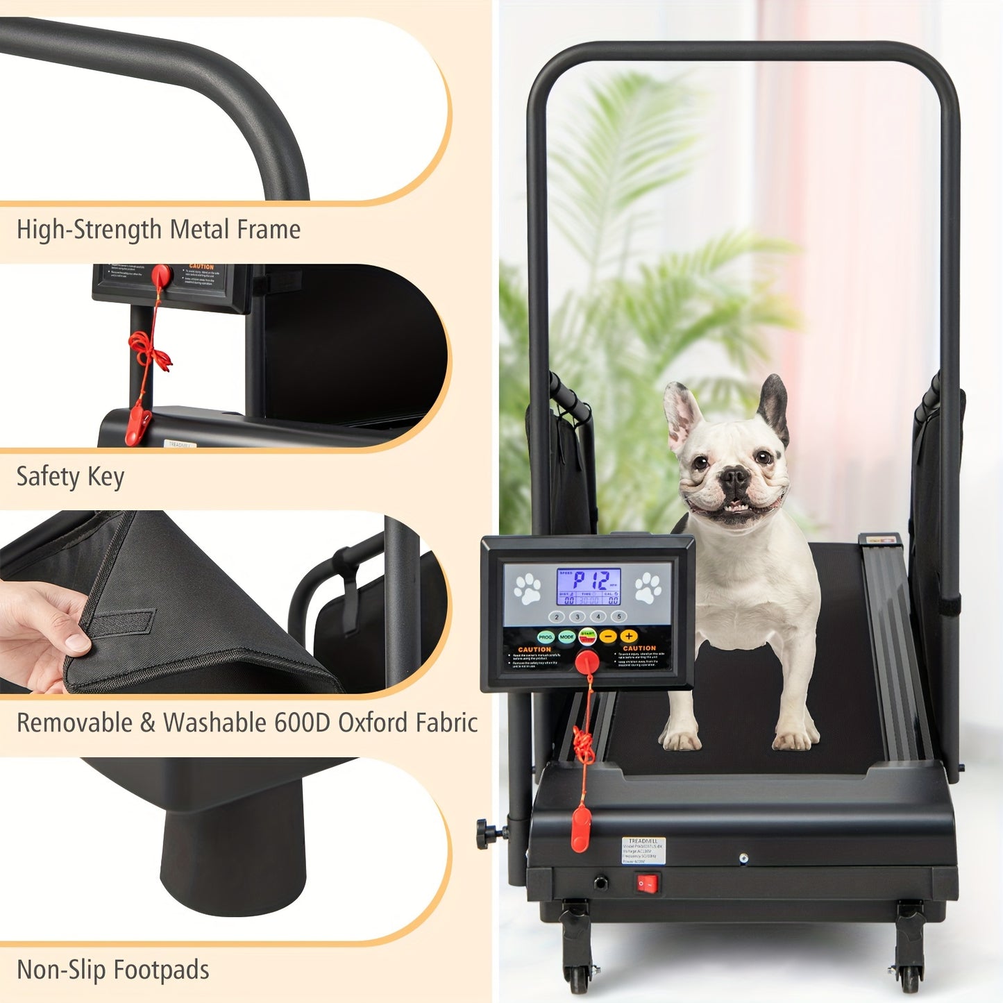 Dog Treadmill