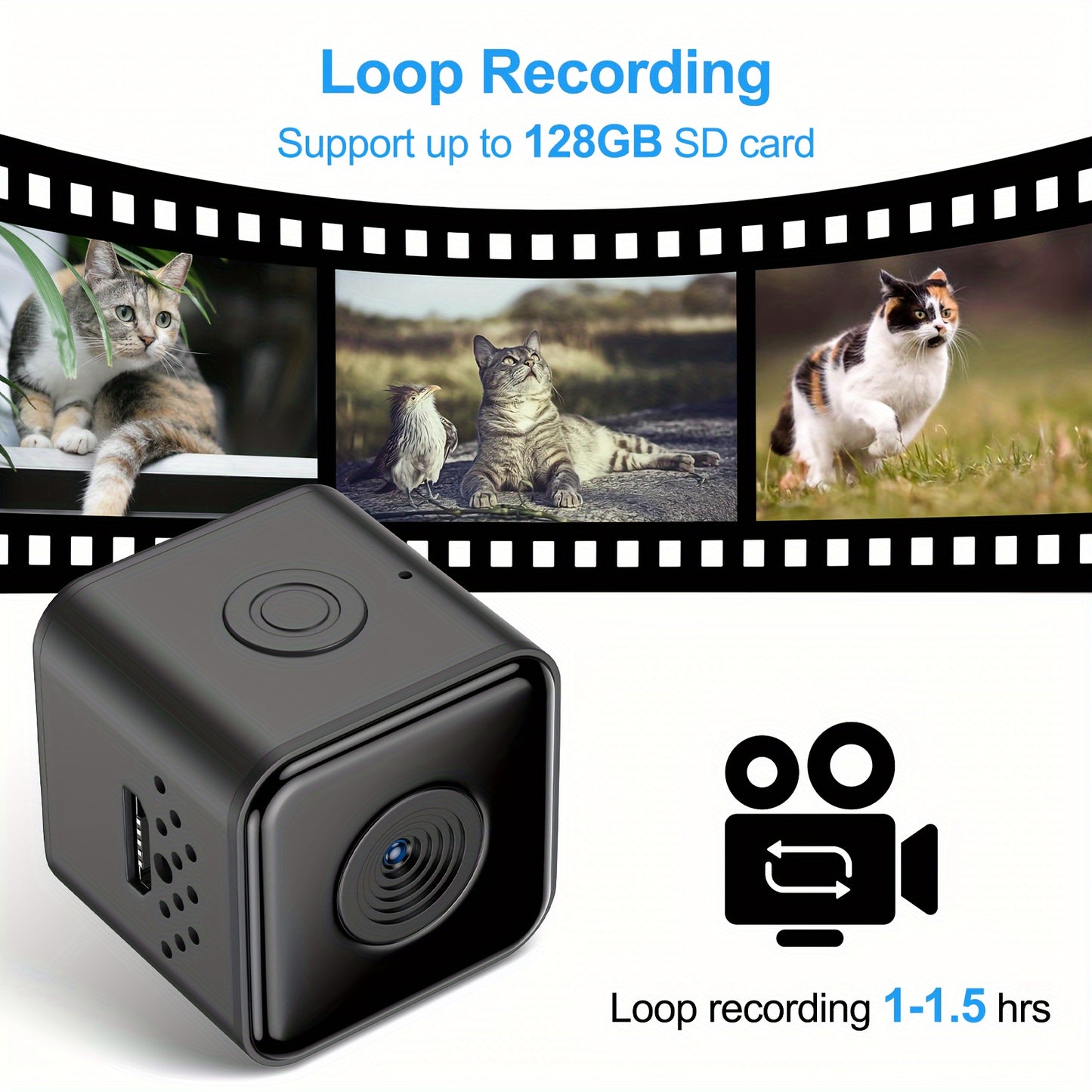 Cat Camera Collar