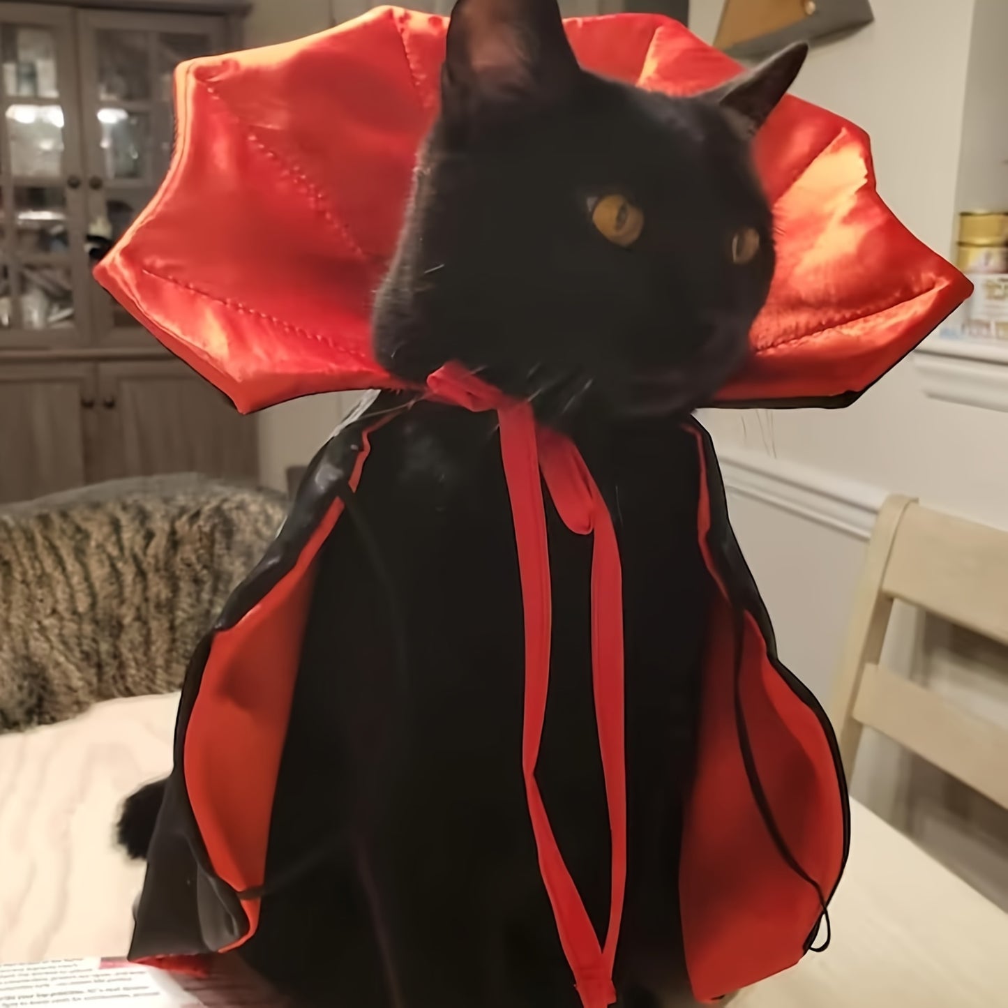 Two-piece/set, black pet cat Halloween costume