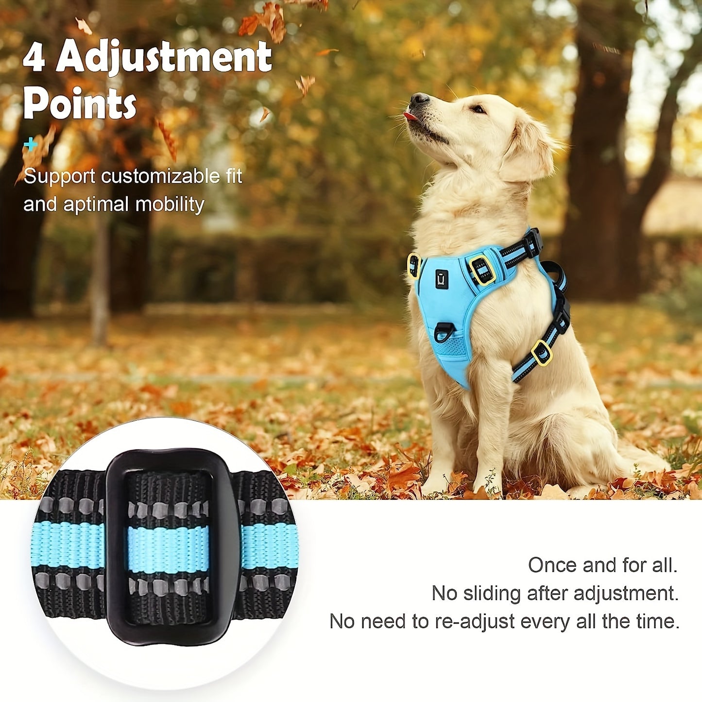 Dog Harness And Leash Combo