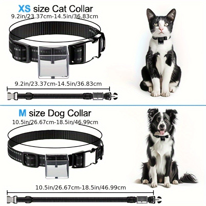 Cat Camera Collar