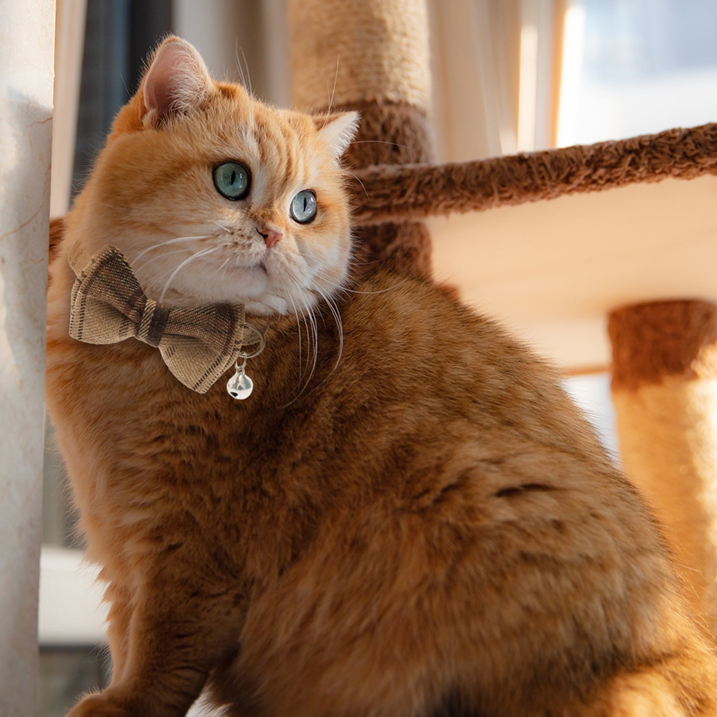 2pcs Breakaway Cat Collars