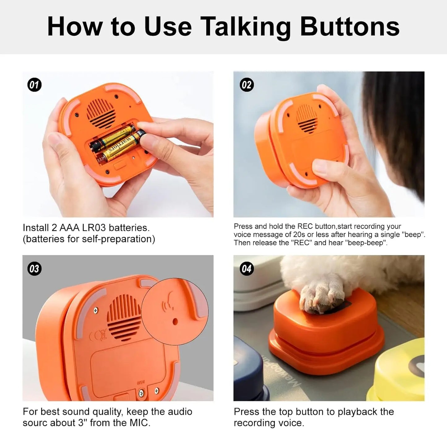 Pet Communication Vocal Training