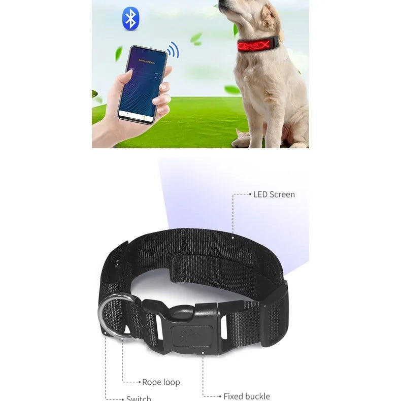 LED Light Up Collar