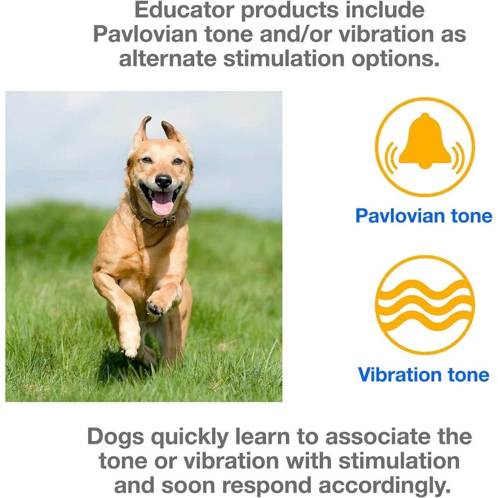 1/2 Mile Small-Medium Training Collars with Remote