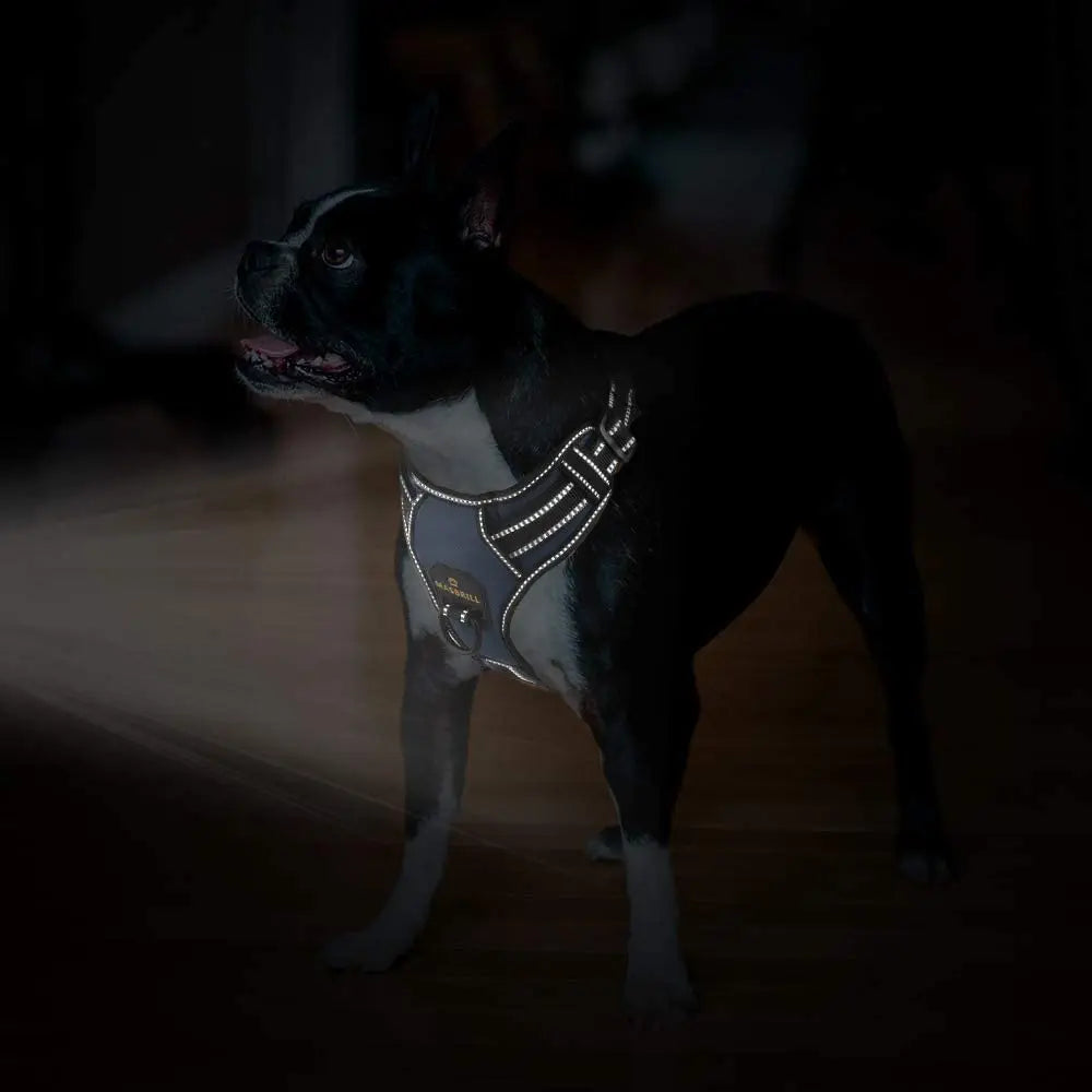 No Pull Breathable Reflective Pet Harness Vest