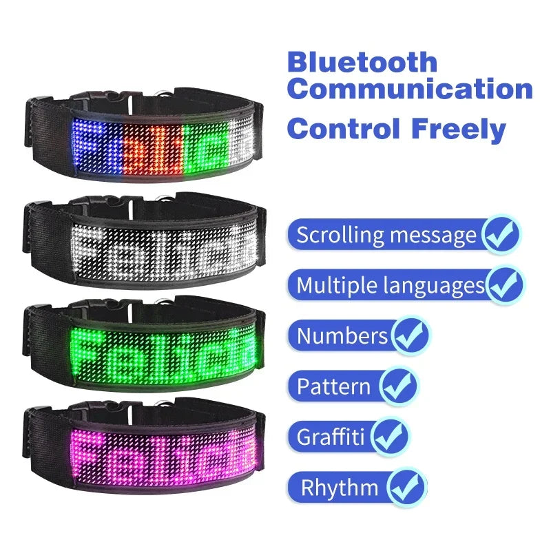 LED Light Up Collar