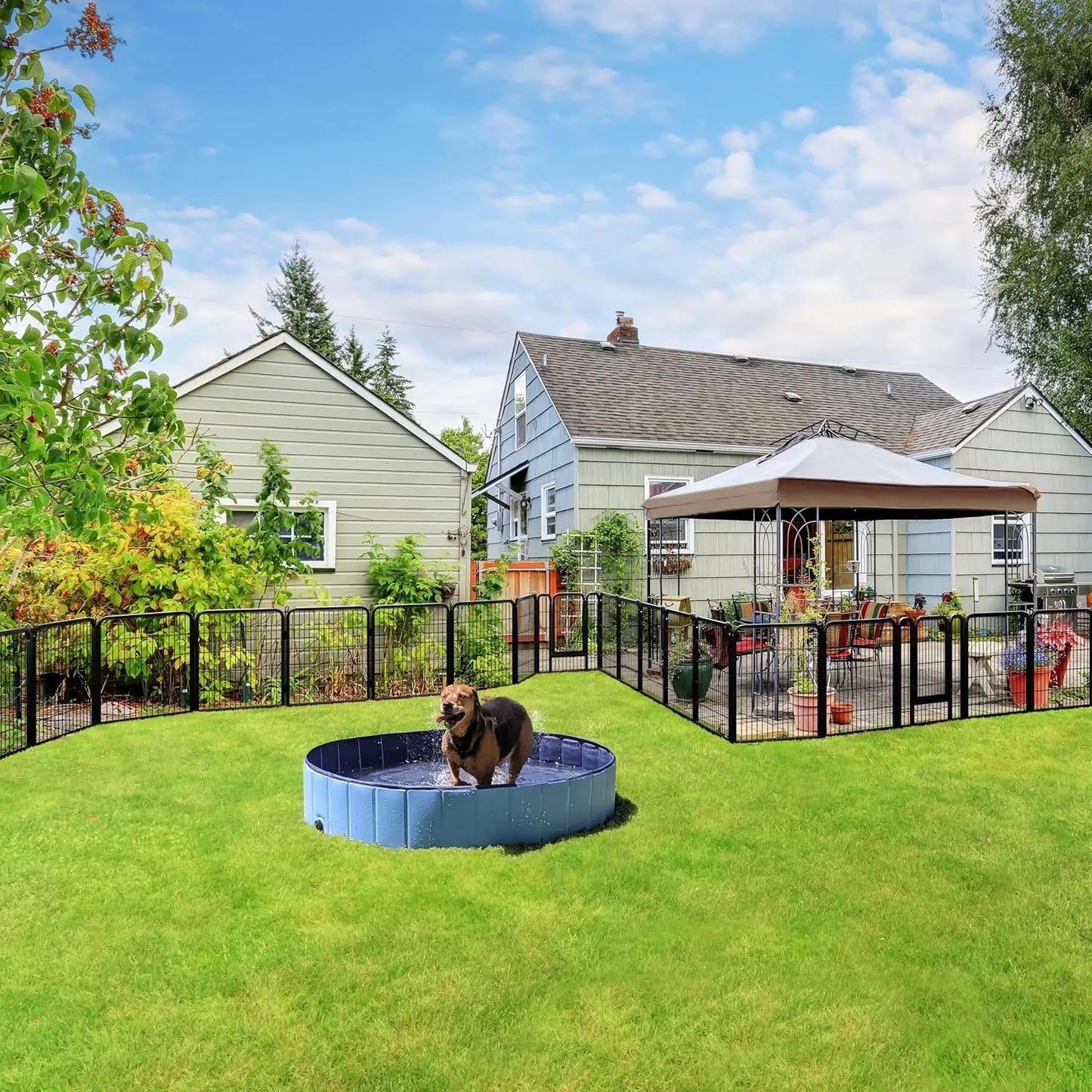 Outdoor Dog Playpen