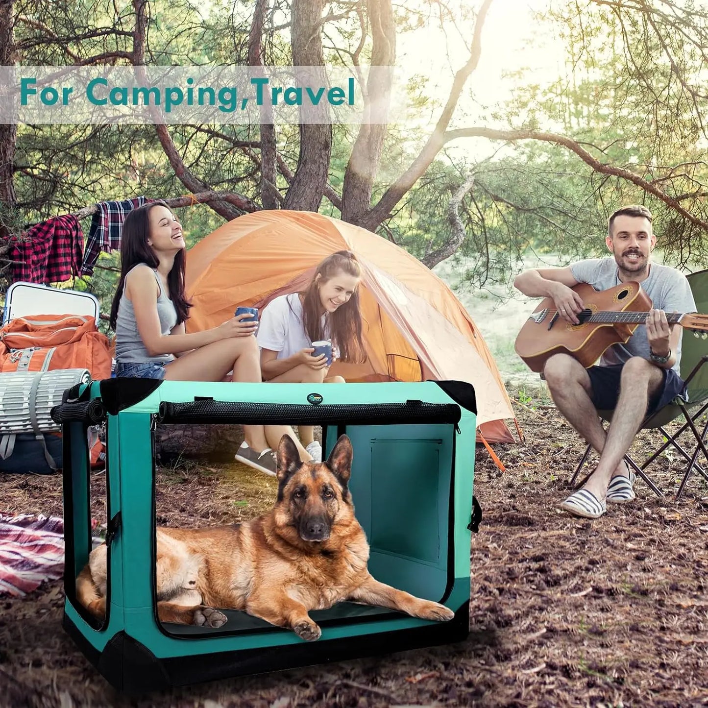 Collapsible Dog Crate