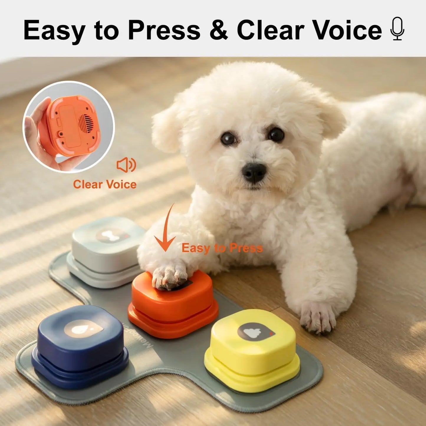 Pet Communication Vocal Training