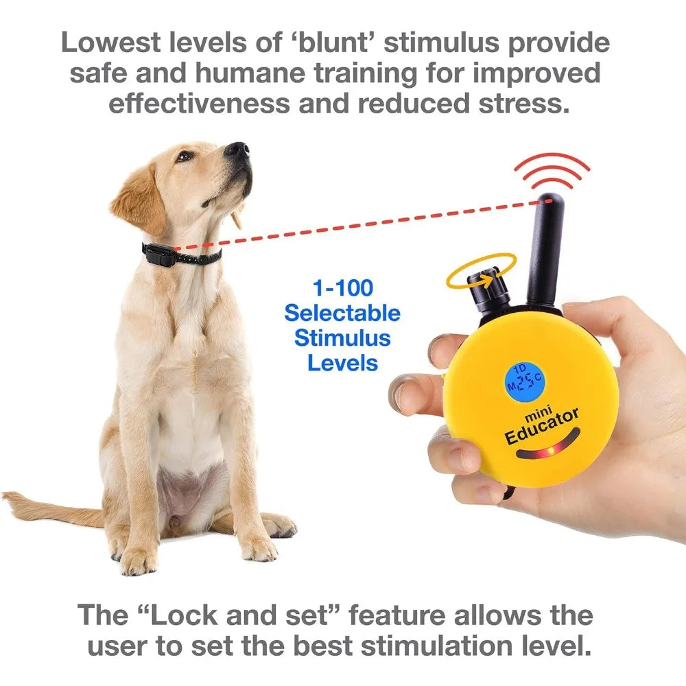 1/2 Mile Small-Medium Training Collars with Remote