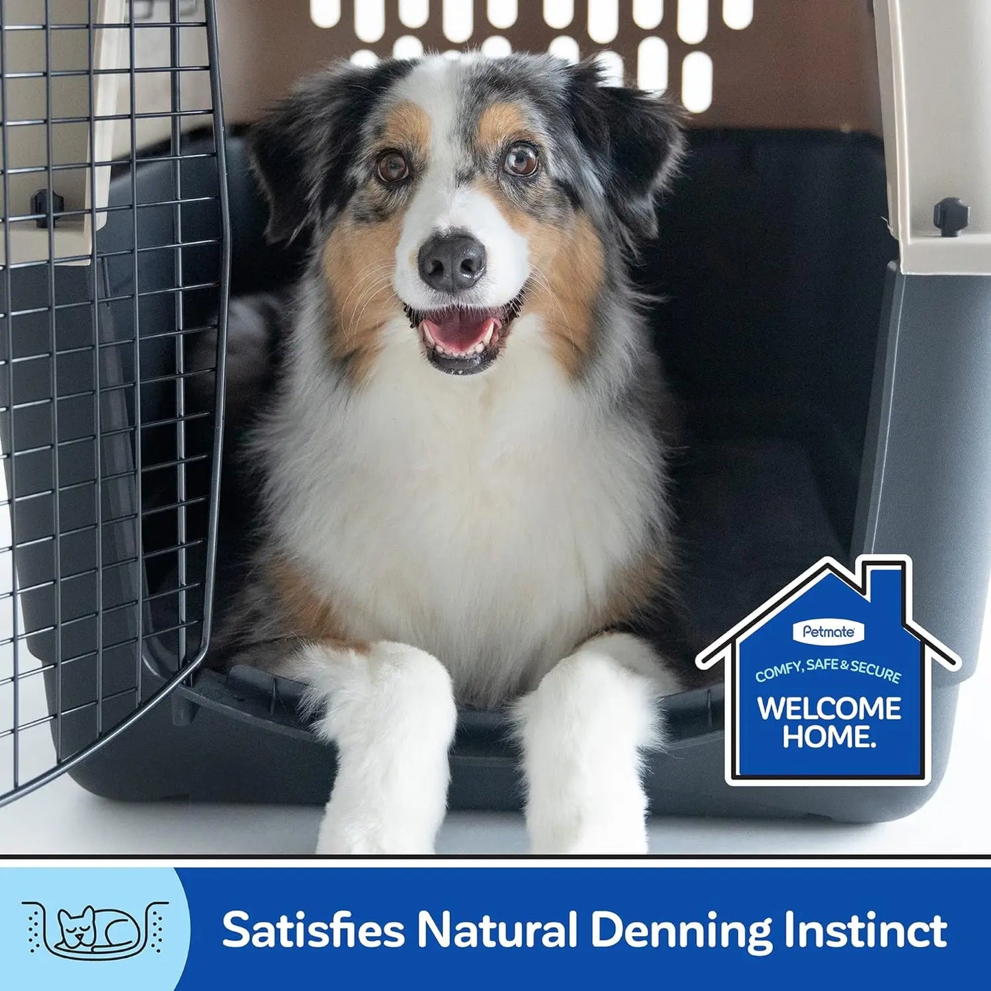 IATA Compliant Dog Crate for Pets 50-70lbs, Made in USA