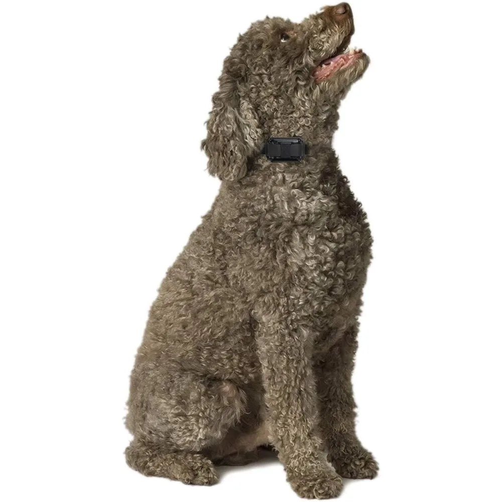 1/2 Mile Small-Medium Training Collars with Remote