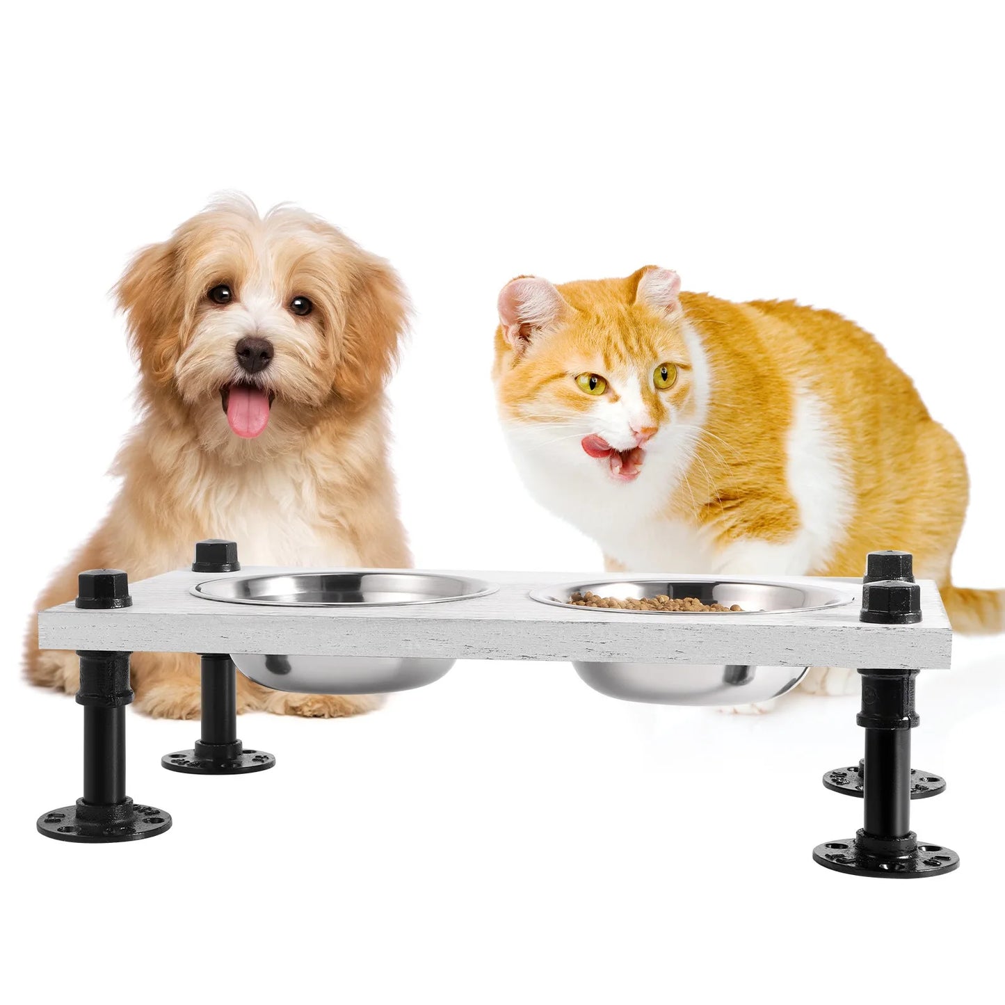 Elevated with 2 Stainless Steel Dog Bowls