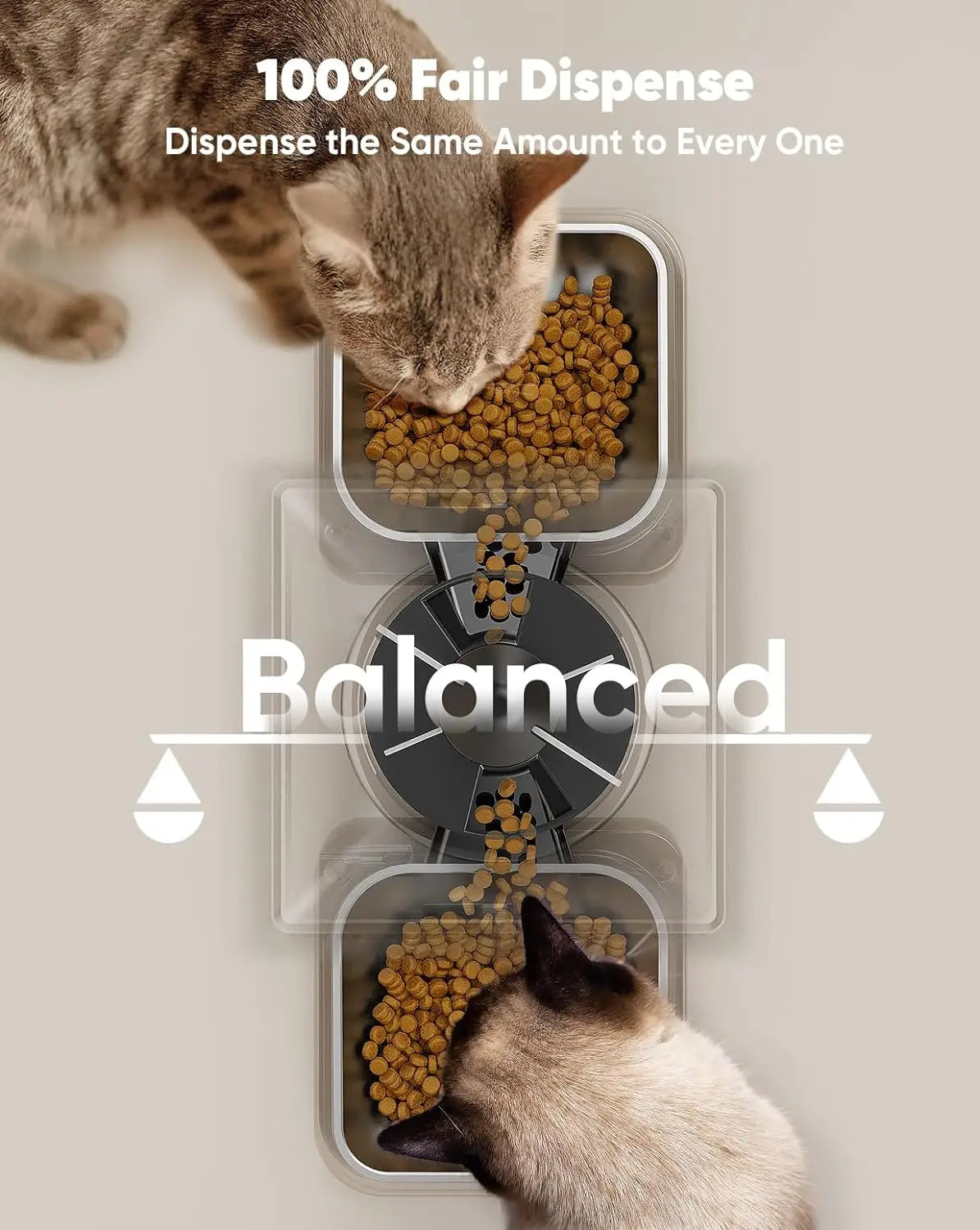 Automatic Timed Cat Feeder