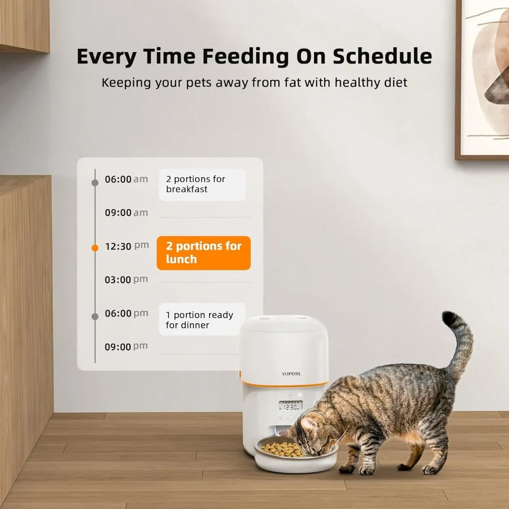 Automatic Cat Feeders - 2 Pack