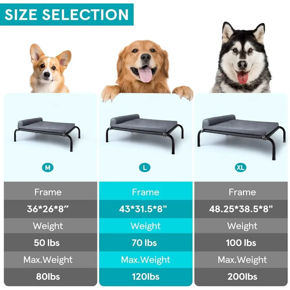 Elevated Dog Bed with Bolster