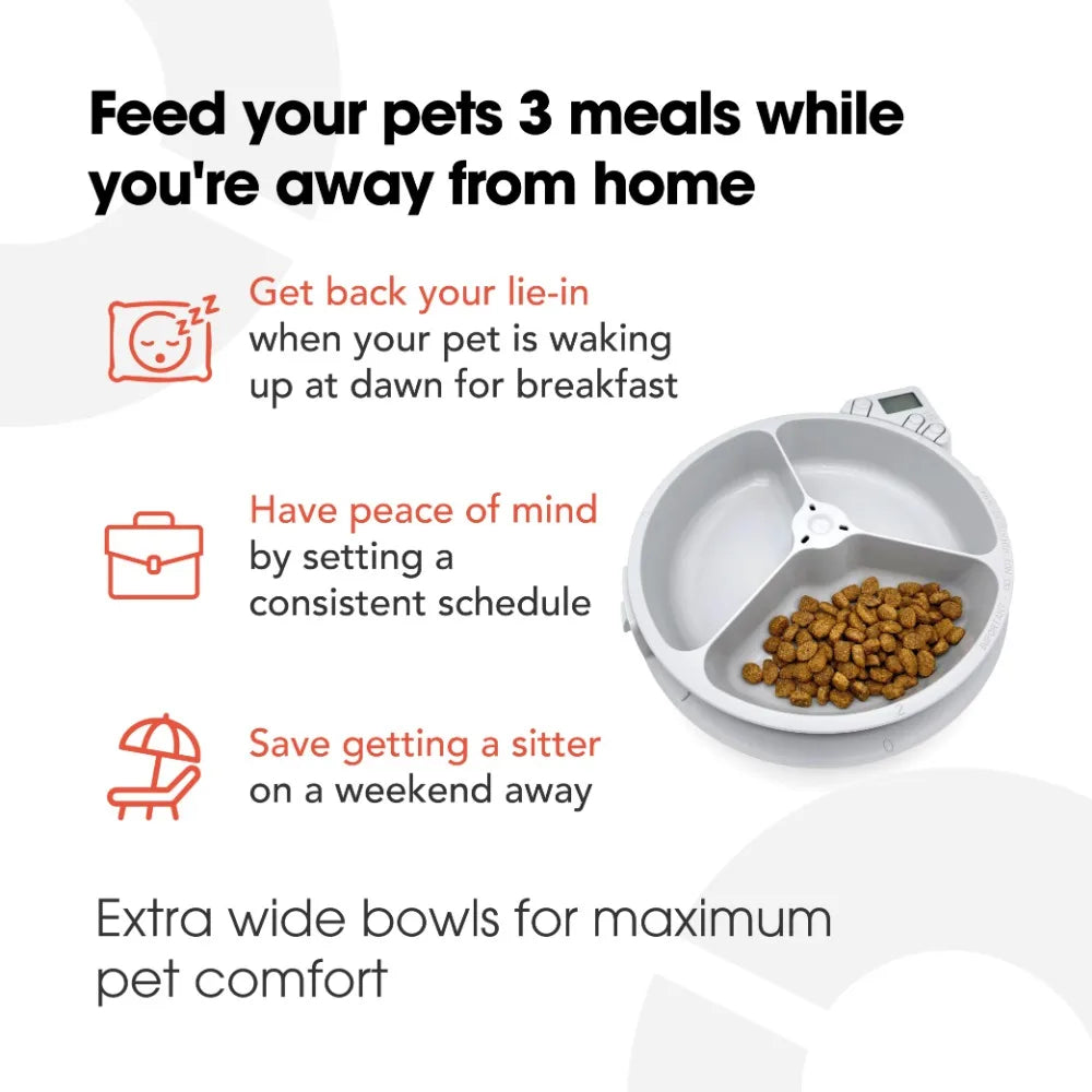 Automatic Feeder for Cats Dog