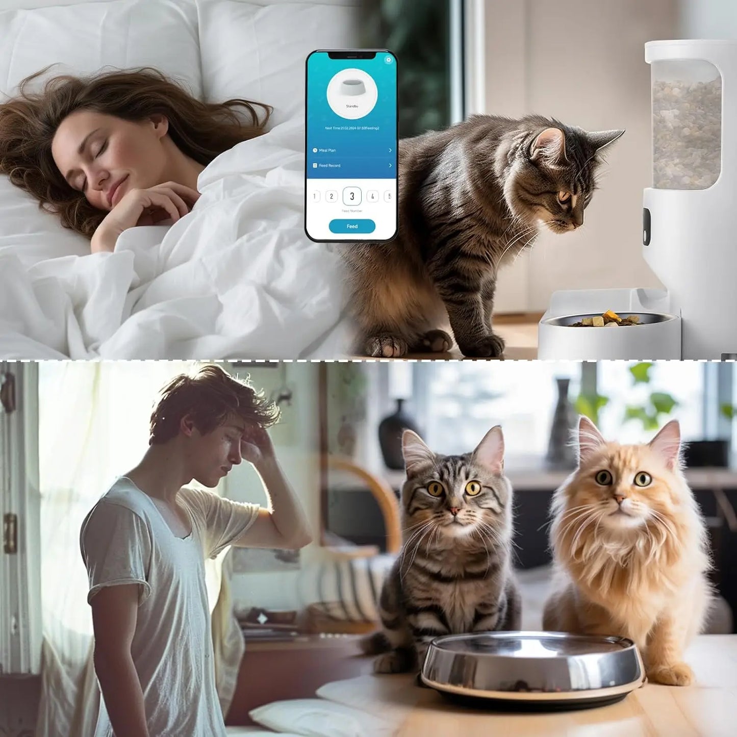 Automatic Cat Feeder