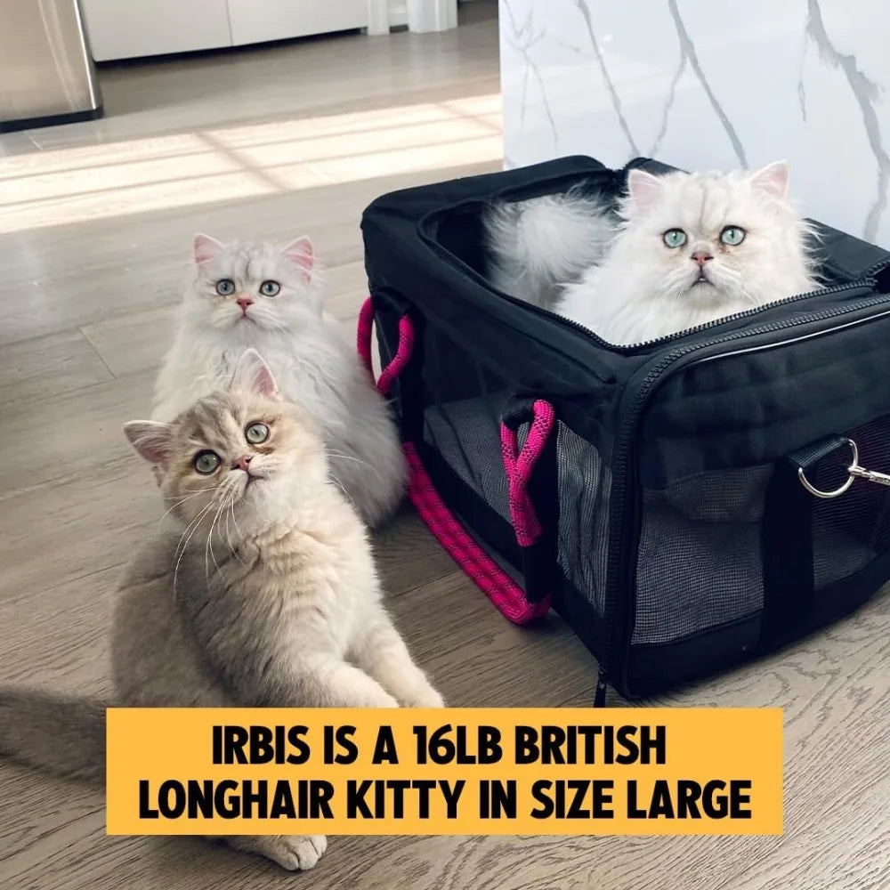 Airline-Compliant Pet Carrier | Includes Leash | Suitable for Pets Up to 25lbs
