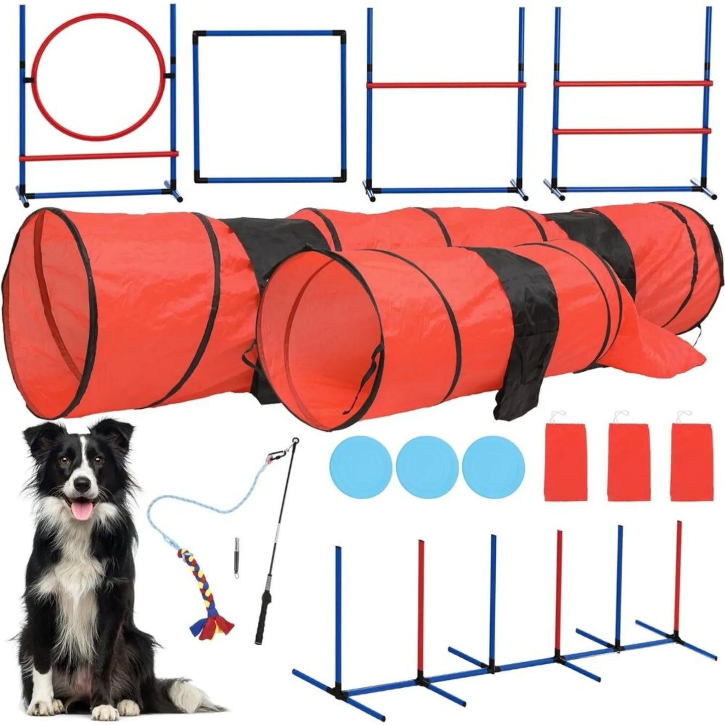 Dog Agility Training Equipment