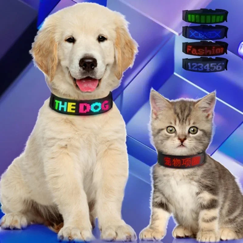 LED Light Up Collar