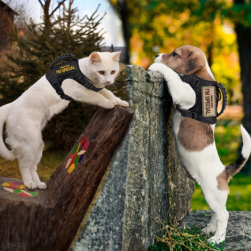 1pc Escape Proof Cat Harness And Leash