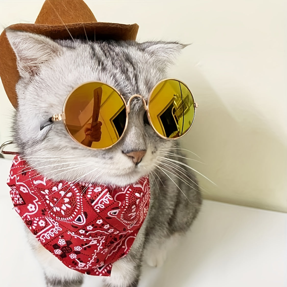 3pcs/set, Pet Cowboy Costume Set