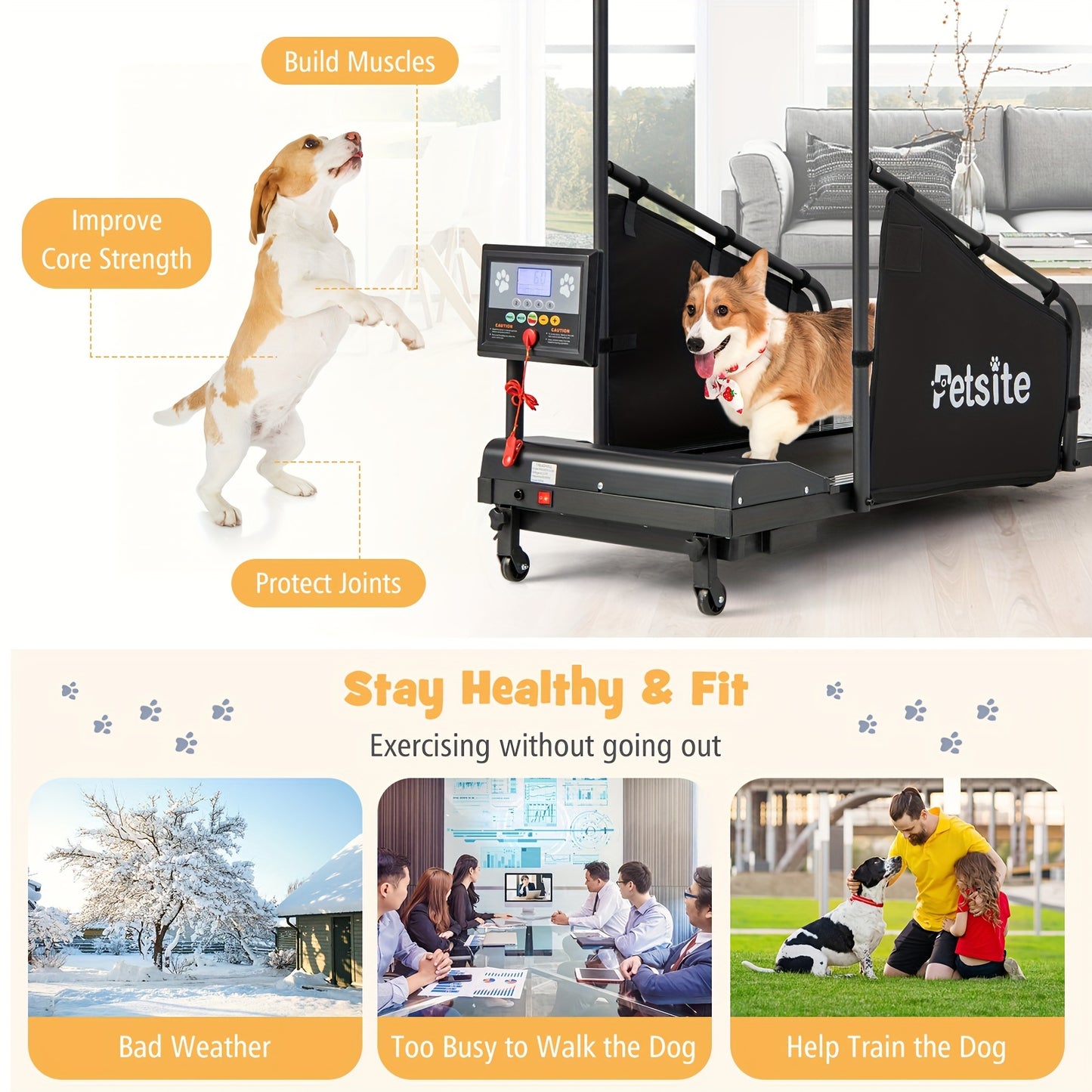 Dog Treadmill