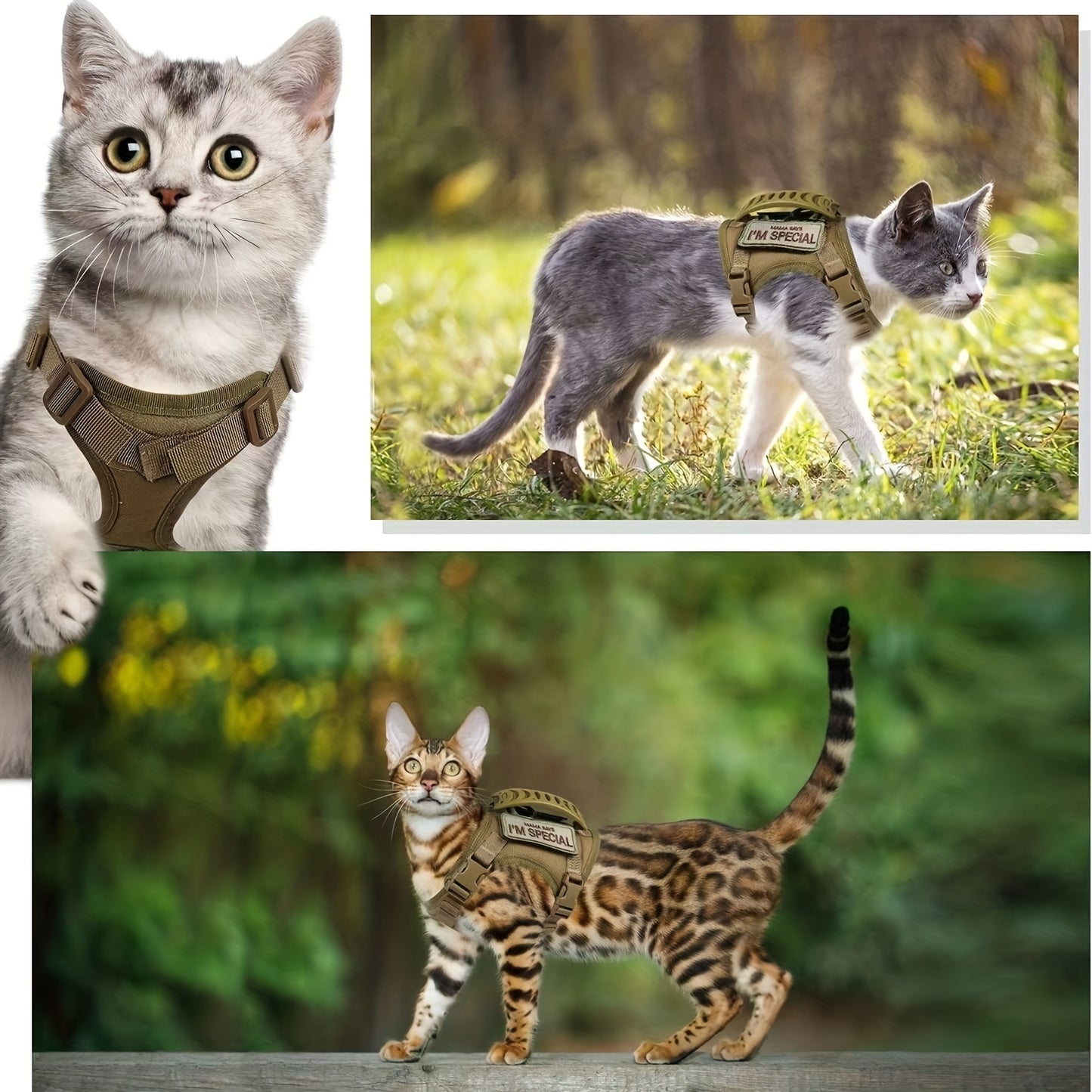 Tactical Cat Harness For Walking