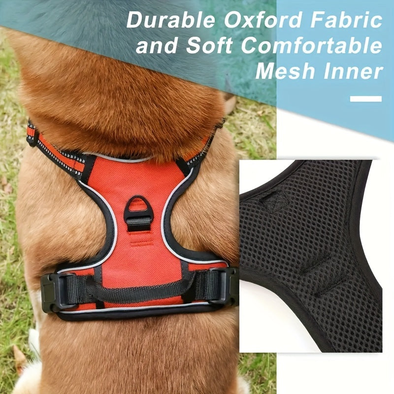 Chest Harness Set, With Dog Leash