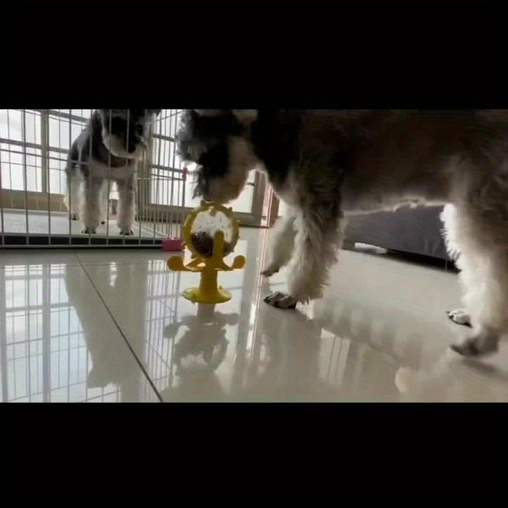 Interactive Cat Toy Slow Feeder For IQ Training