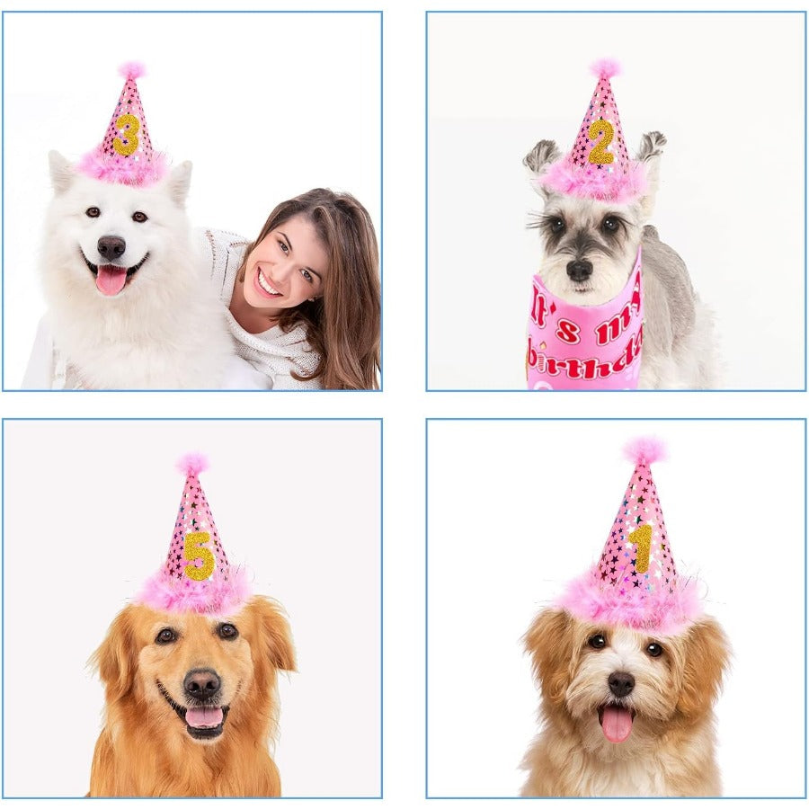 Dog Birthday Party