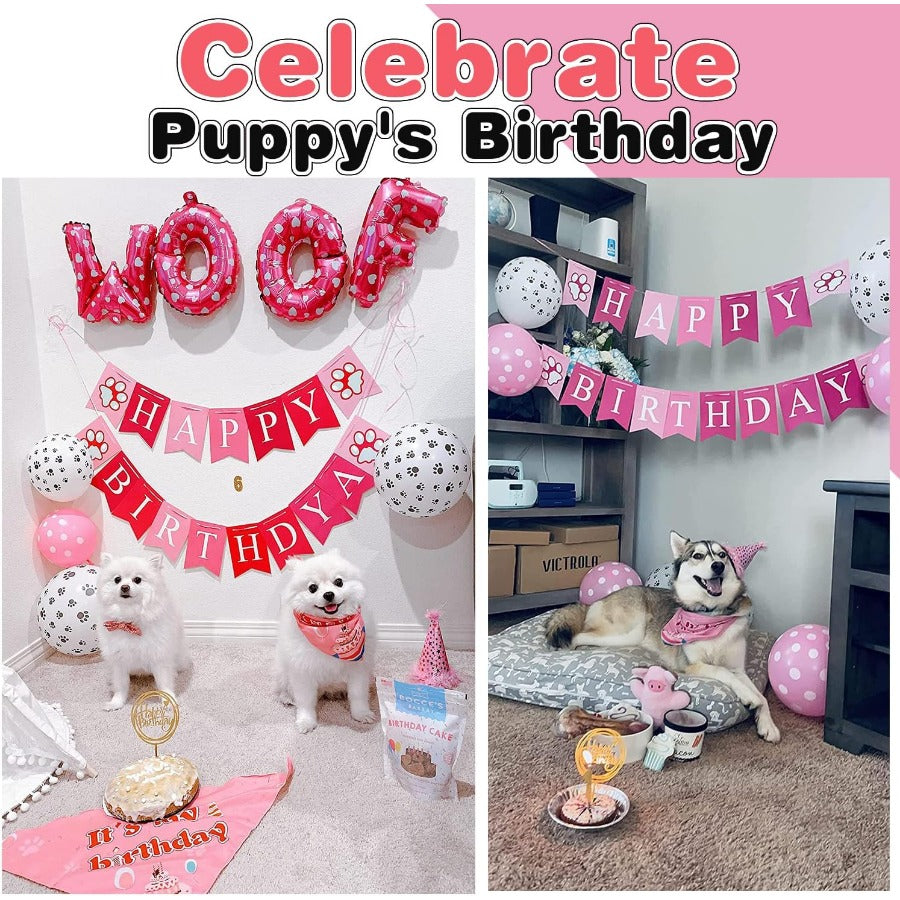 Dog Birthday Party