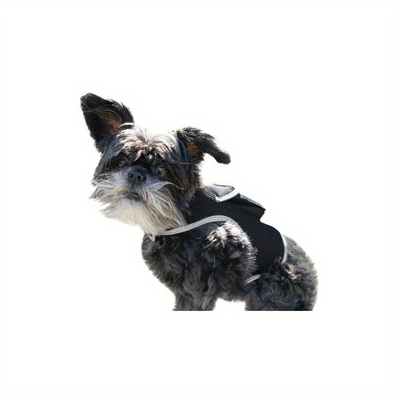 High Accuracy GSM GPS Pet Logger Waterproof Dog Cat Collar Tracker NEW Size:M