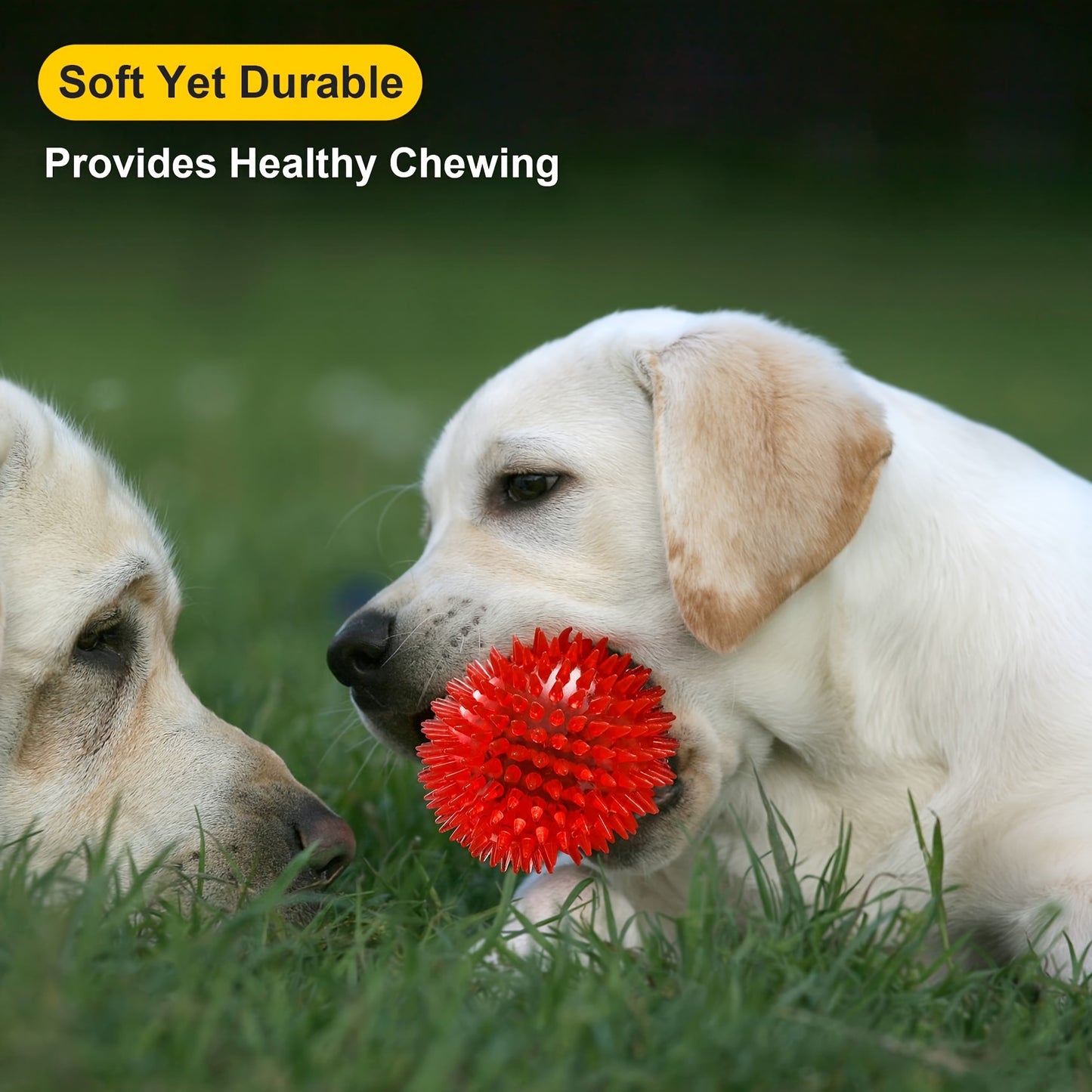 3.5'' Squeaky Dog Toy Balls (6 Colors)