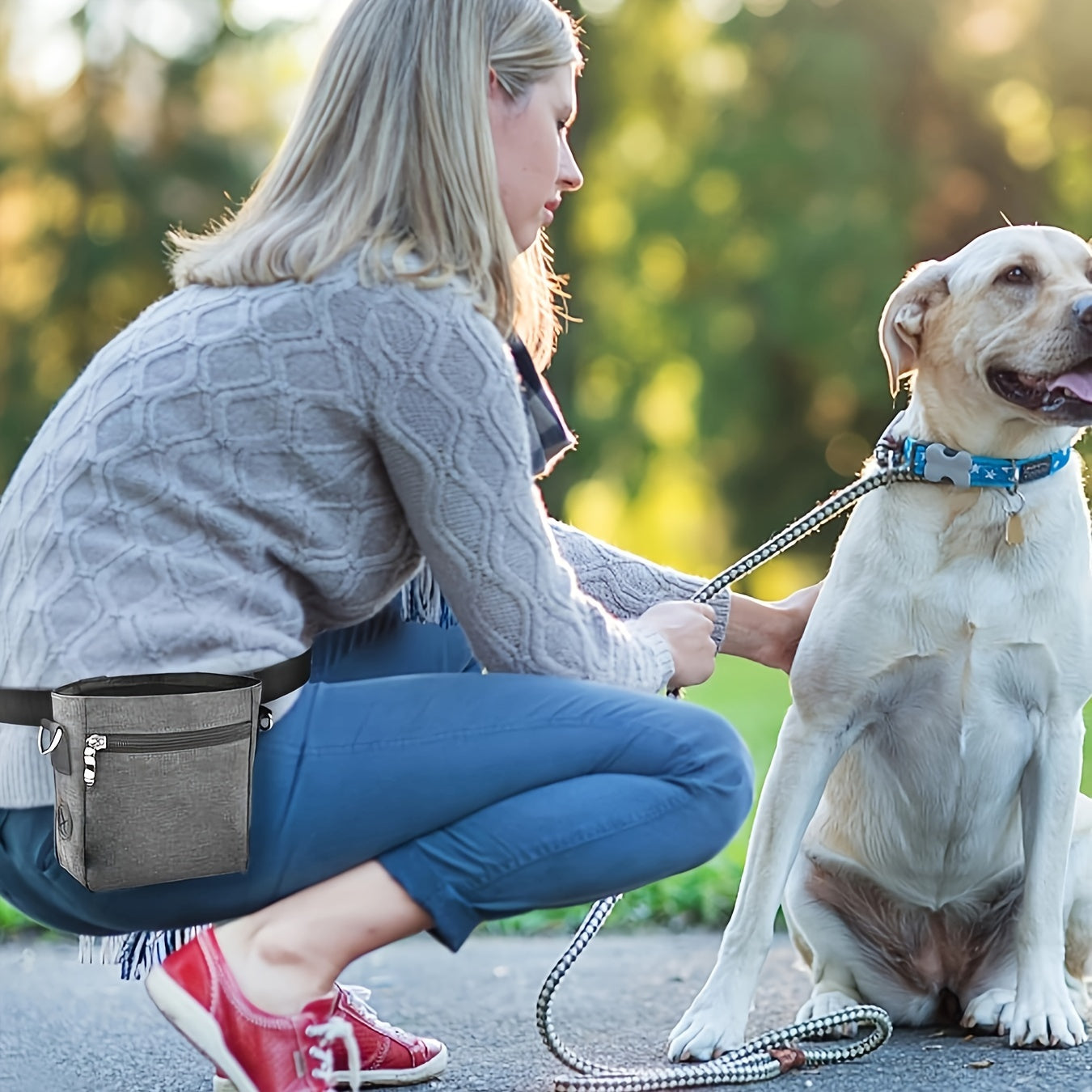 Dog Treat Training Pouch