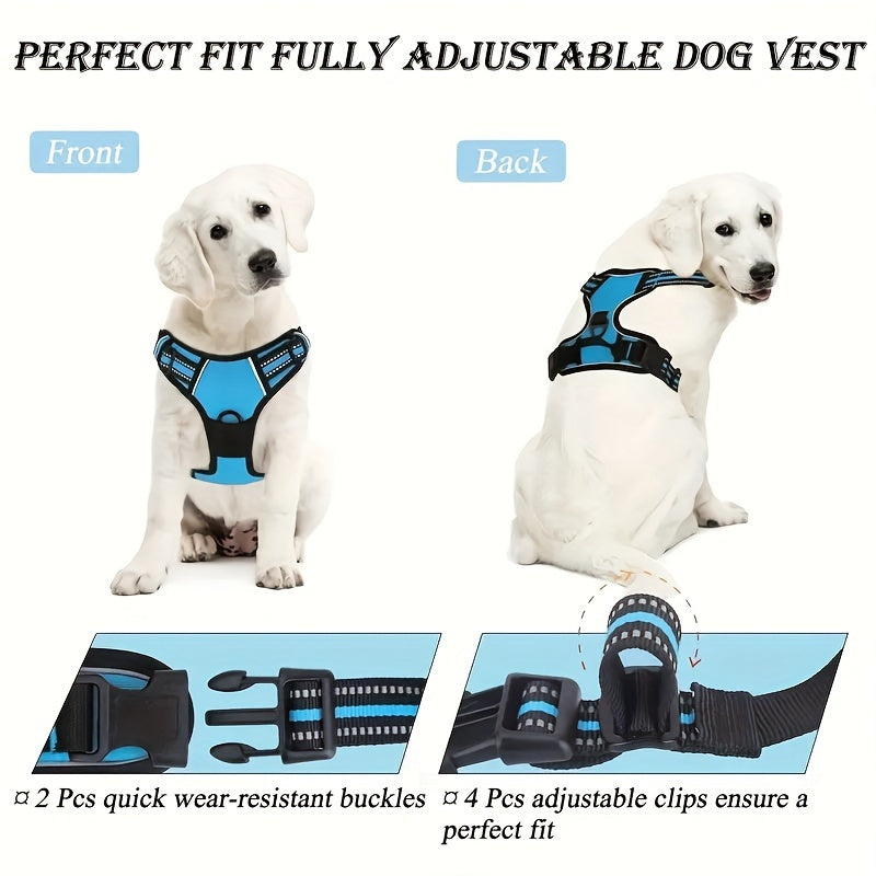 Chest Harness Set, With Dog Leash