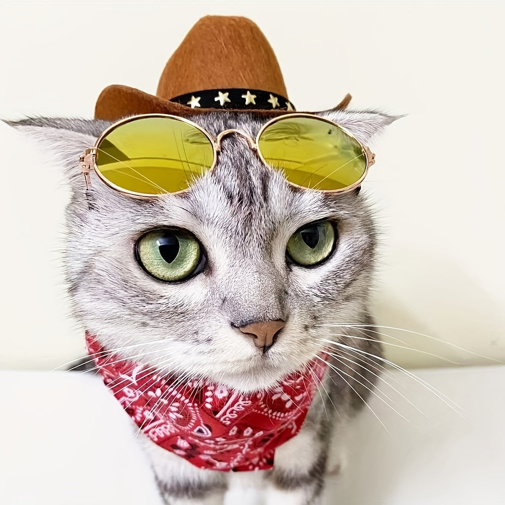 3pcs/set, Pet Cowboy Costume Set