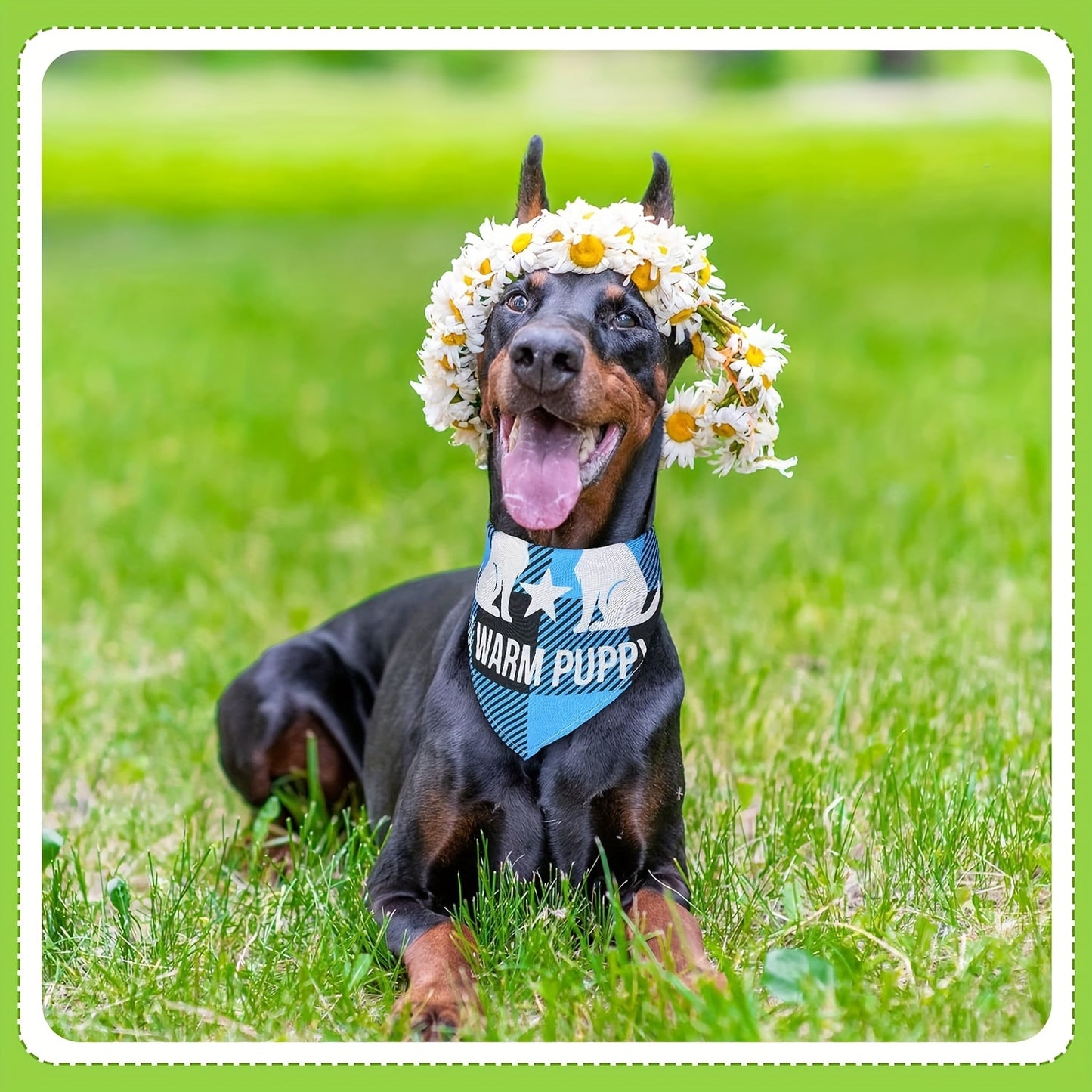 50pcs Floral Dog Bandanas\